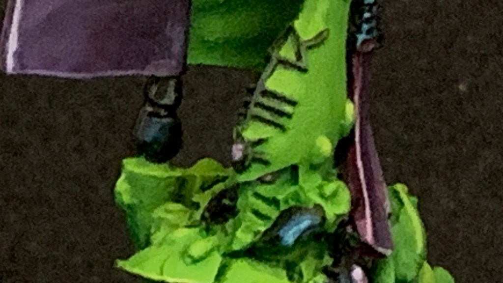 Bring Back Karandras!  An Autach&nbsp;Conversion